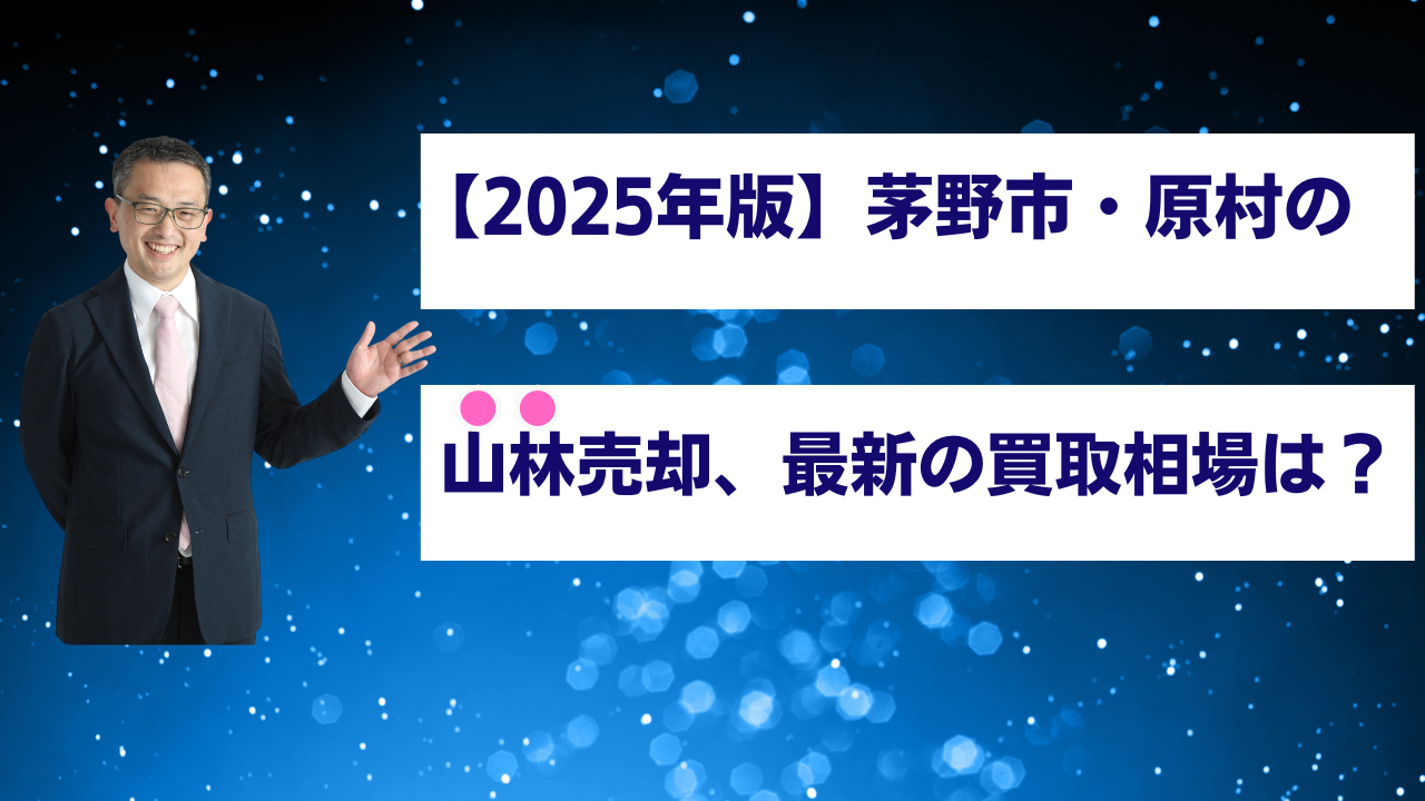【2025年版】茅野市・原村の山林売却、最新の買取相場は？