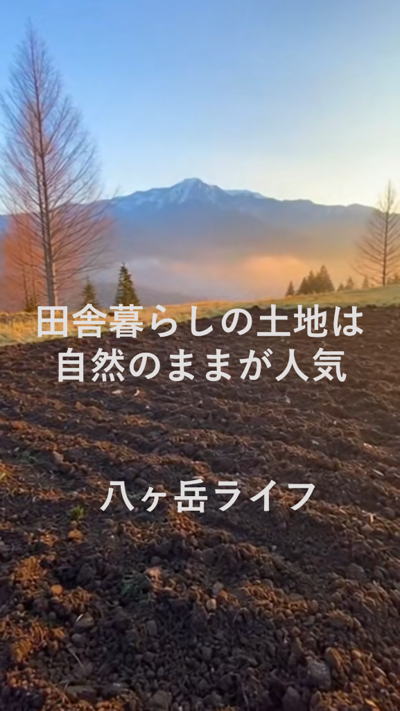 八ヶ岳ライフ田舎暮らしの土地は自然のままが人気